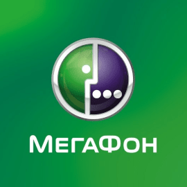 Региональное отделение по СПб и Ленобласти Северо - Западного филиала ОАО «МегаФон» Региональное отделение по СПб и Ленобласти Северо - Западного филиала ОАО «МегаФон»